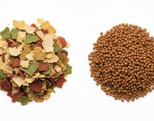 hojuela-pellet