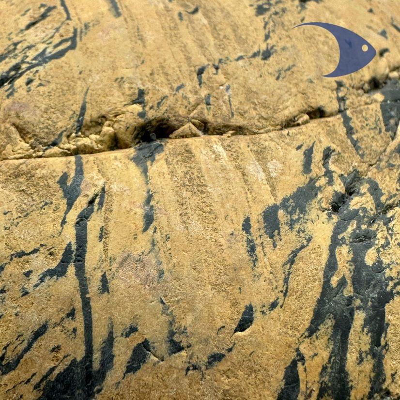 Roca Entintado Natural - Imagen 9